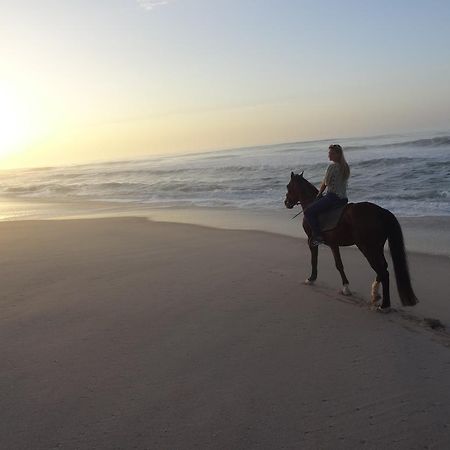 Dakhla Evasion 호텔 외부 사진