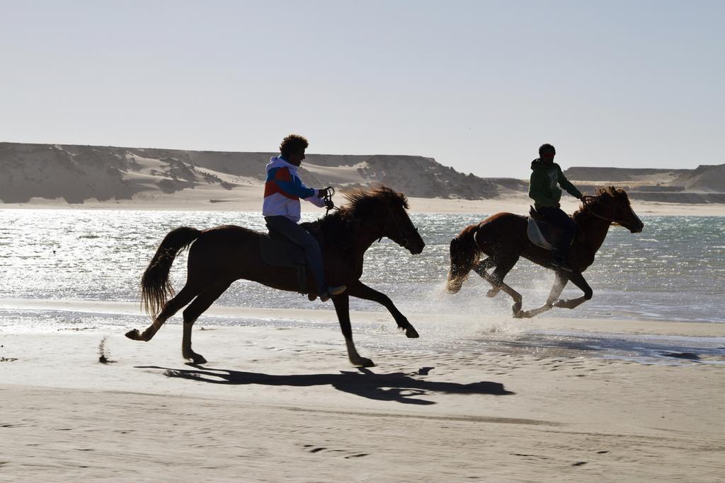 Dakhla Evasion 호텔 외부 사진